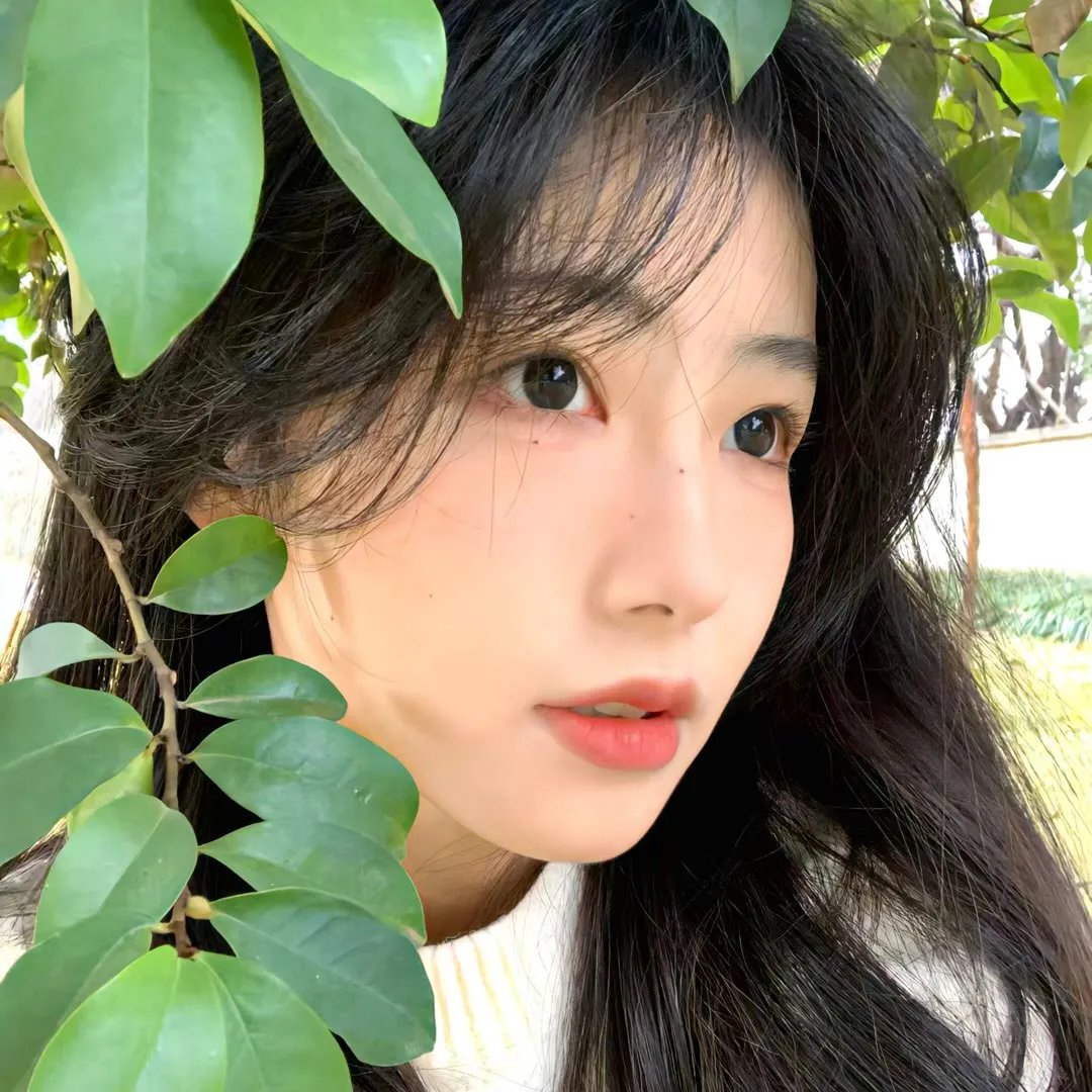 花仙子森林寻友记