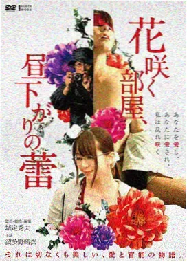 蜜桃在线视频电影码头没有黄昏